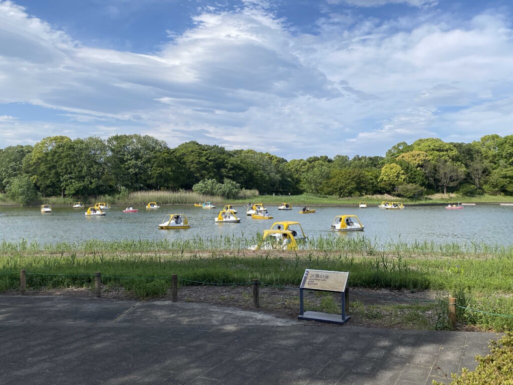 昭和記念公園の水鳥の池